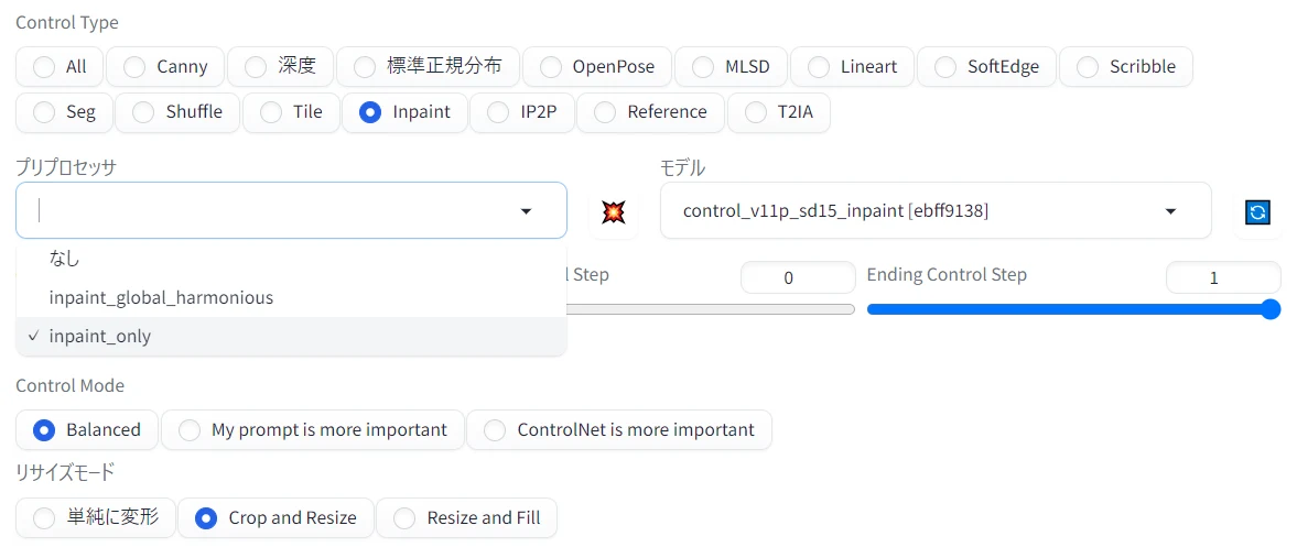 InpaintOnlyとは:図版1