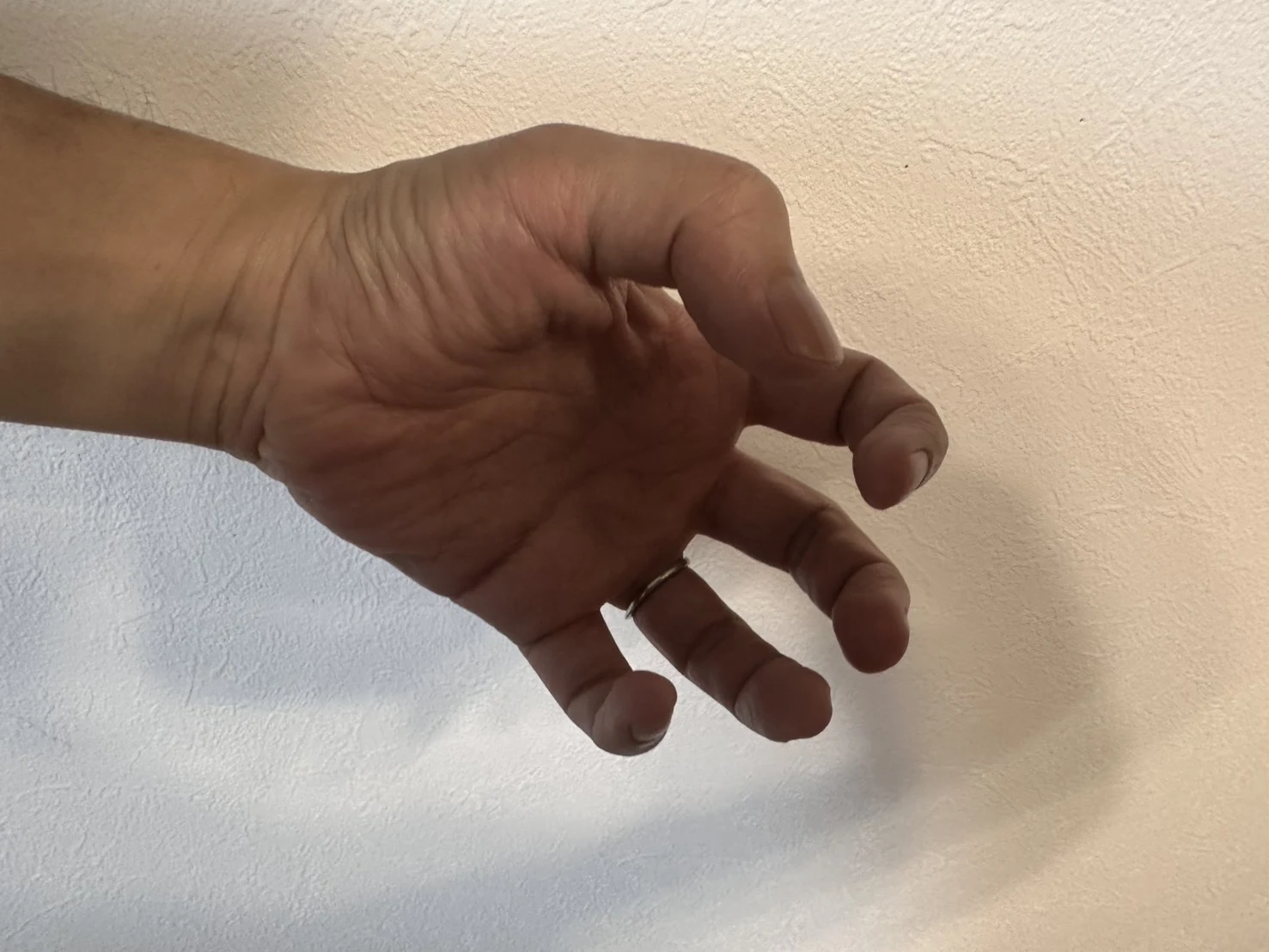 ２．自分の手を写真に取ろう：図版1