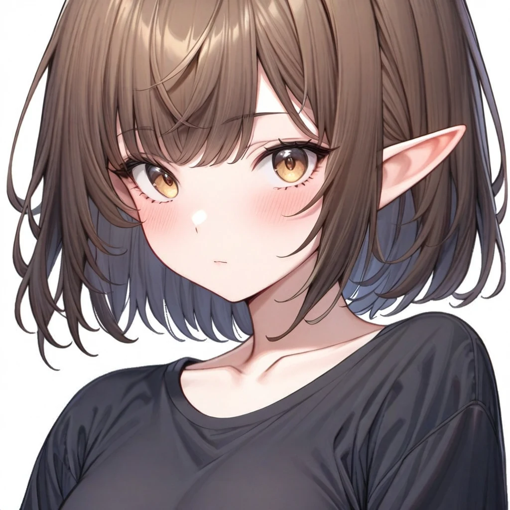 ８．応用編 -もっと自由なLoRAを作ってみよう-：図版2
