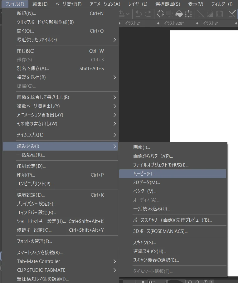 ３．動画をキャンバス上で開く：図版1